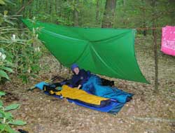 Music With Rick Collins