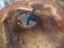 Table Saw, Broekn Nose, Double Trouble, Hell's Hole - We're Ready!