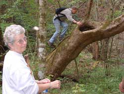 Shooting Sporting Clays