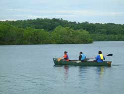 Music With Rick Collins